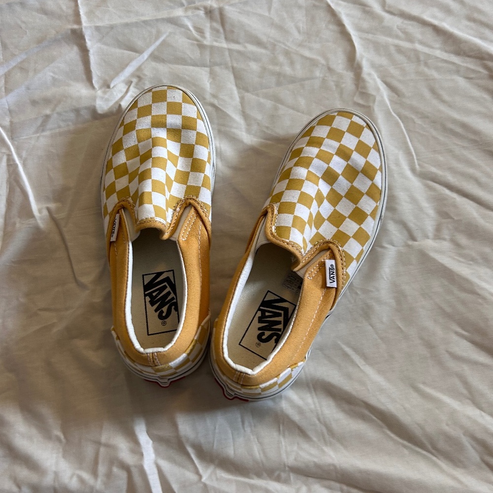 Vans checkered skate shoes